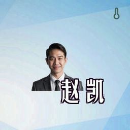 赵凯